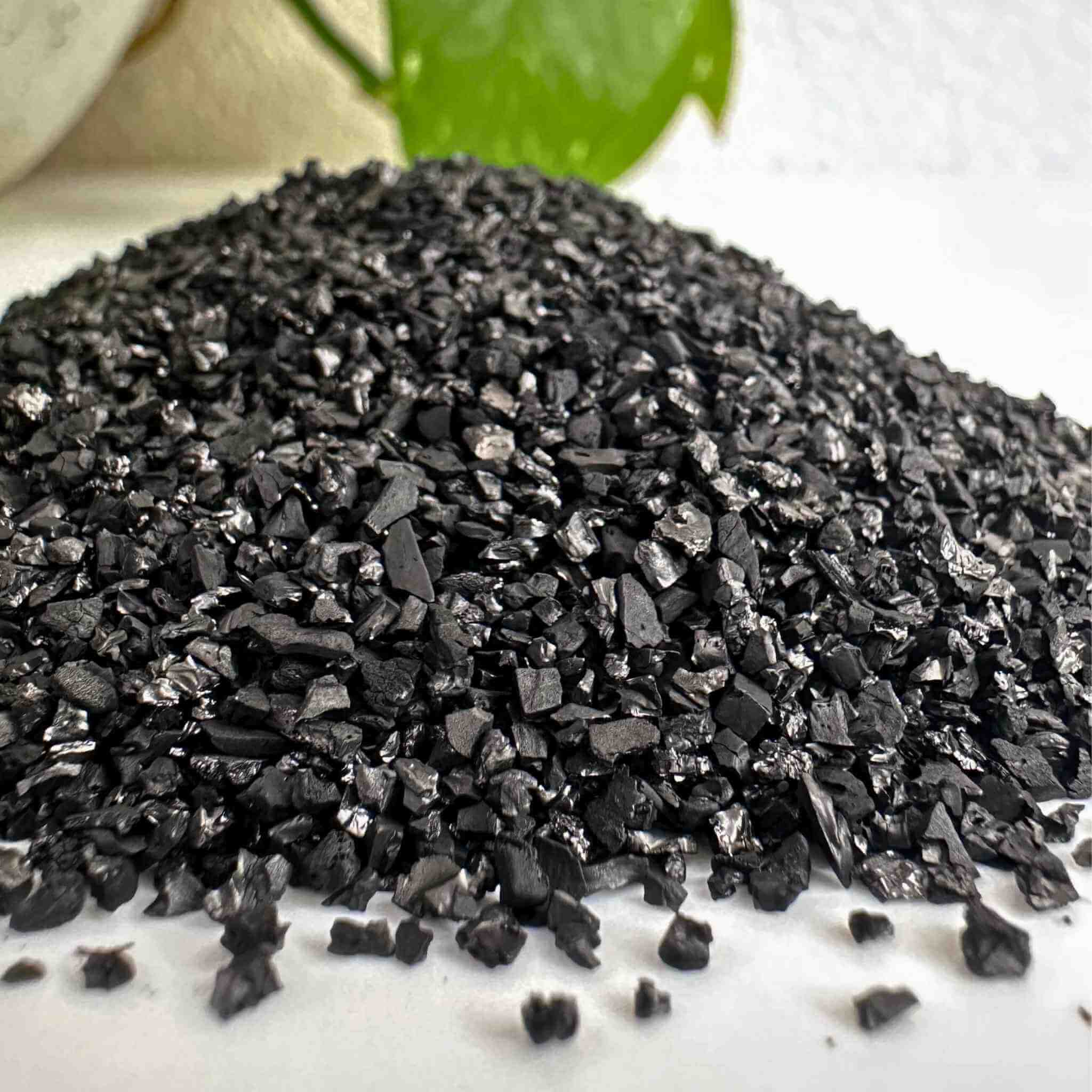 coconut activated charcoal for terrariums