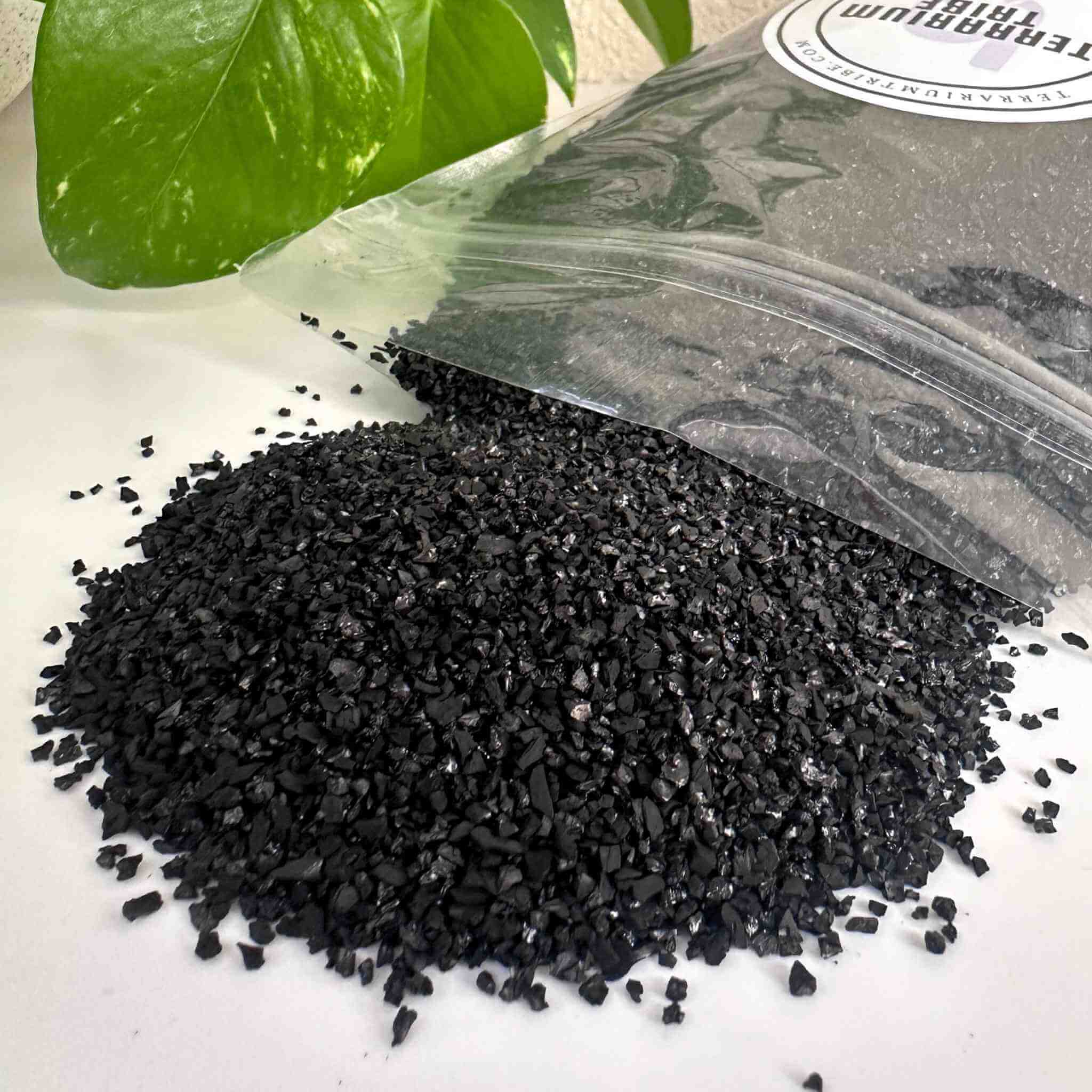 coconut activated charcoal for terrariums